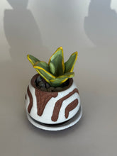 Load image into Gallery viewer, SampleHAUS Littles: DesertScapes
