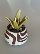 Load image into Gallery viewer, SampleHAUS Littles: DesertScapes
