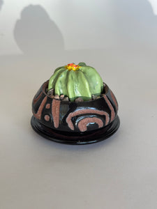 SampleHAUS Littles: DesertScapes