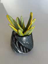 Load image into Gallery viewer, SampleHAUS Littles: Phoenix Rising
