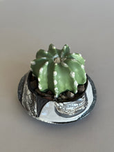 Load image into Gallery viewer, SampleHAUS Littles: Phoenix Rising
