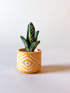 SampleHAUS Littles: Porcelain Planters