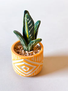 SampleHAUS Littles: Porcelain Planters