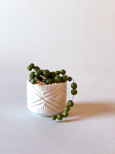 SampleHAUS Littles: Porcelain Planters