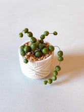 Load image into Gallery viewer, SampleHAUS Littles: Porcelain Planters
