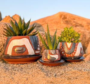 Small DesertScape Planter With Crackle- Brown Clay
