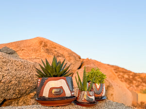 Large DesertScape Planter with Crackle - Brown Clay