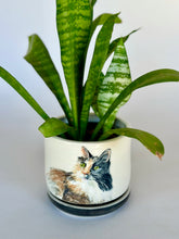 Load image into Gallery viewer, Custom Pet Portraits - Planter
