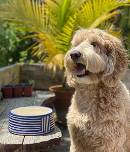 Dog Bowls - Made to Order