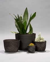 Load image into Gallery viewer, Mini Planters: MADE TO ORDER - Black Clay
