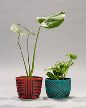 Load image into Gallery viewer, Medium Planters: Made-to-Order in Black Clay
