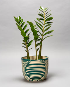 Large Cachepot Planter - Made to Order