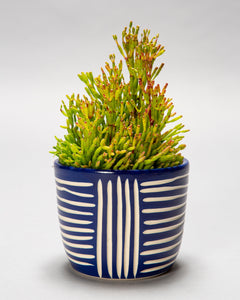 Small Cachepot Planter - Made to Order