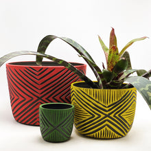Load image into Gallery viewer, Mini Planters: Made-to-Order in Black Clay
