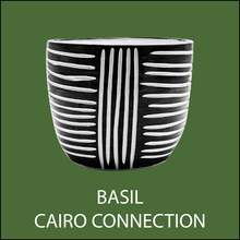 Load image into Gallery viewer, Medium Planters: MADE TO ORDER - Black Clay
