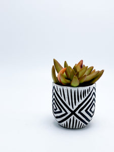 Mini Planters: Made-to-Order in Black Clay
