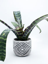 Load image into Gallery viewer, Small Planters: Made-to-Order in Black Clay
