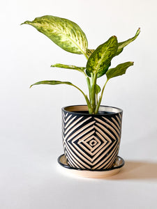 Small Planter w/ Plate - Made to Order