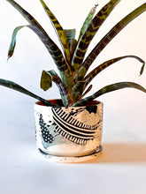 Load image into Gallery viewer, Granite - Medium Planter w/ Plate - Made to Order
