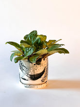 Load image into Gallery viewer, Granite - Small Planter w/ Plate - Made to Order
