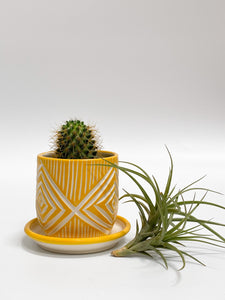 Mini Planter w/ Plate - Made to Order