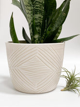 Load image into Gallery viewer, Large Cachepot Planter - Made to Order
