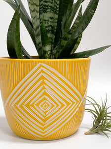 Large Cachepot Planter - Made to Order