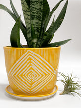Load image into Gallery viewer, Large Planter w/ Plate - Made to Order

