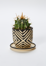 Load image into Gallery viewer, Mini Planter w/ Plate - Made to Order
